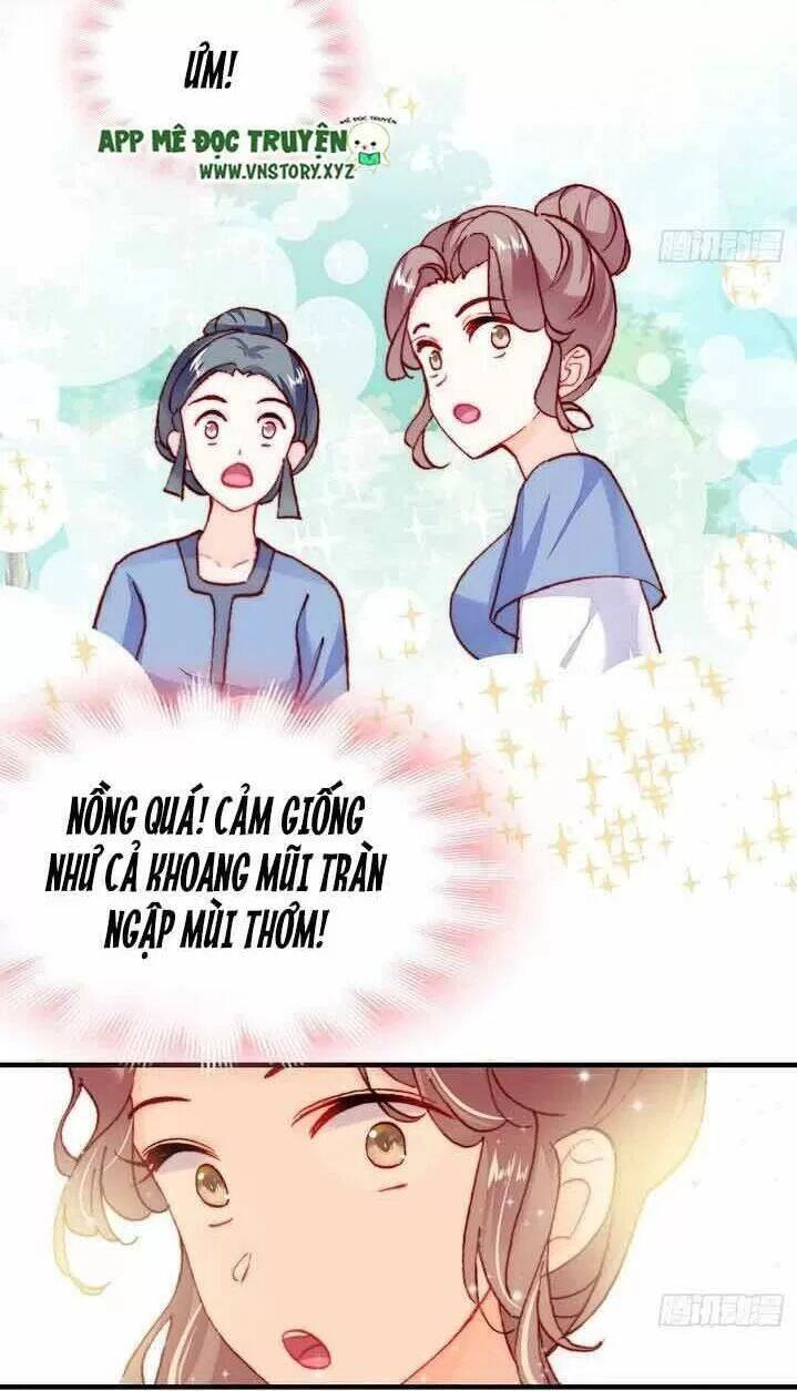 Lại Bị Bệnh Chiều Chuộng Quấn Lấy Chapter 8 - 14