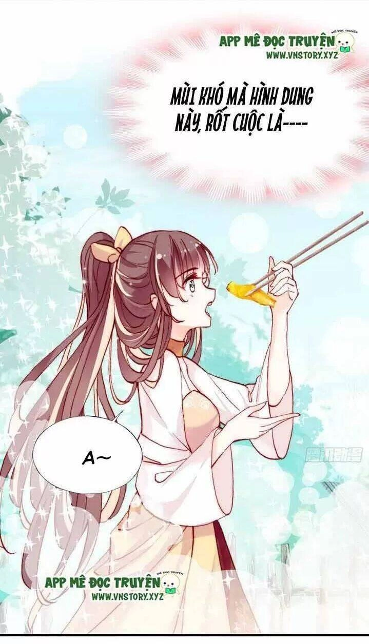 Lại Bị Bệnh Chiều Chuộng Quấn Lấy Chapter 8 - 15