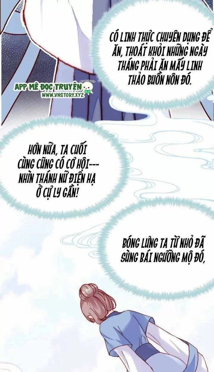 Lại Bị Bệnh Chiều Chuộng Quấn Lấy Chapter 9 - 8