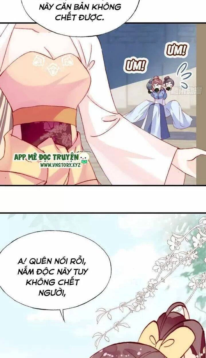 Lại Bị Bệnh Chiều Chuộng Quấn Lấy Chapter 9 - 25