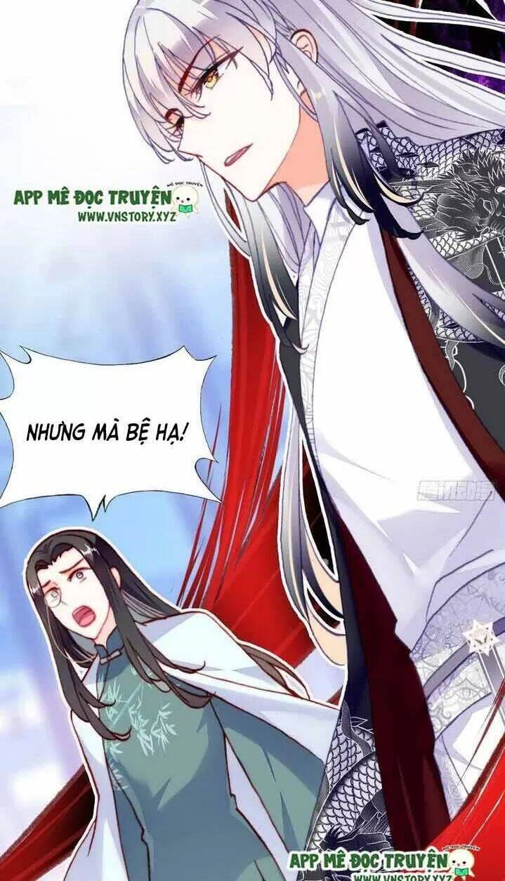 Lại Bị Bệnh Chiều Chuộng Quấn Lấy Chapter 11 - 5