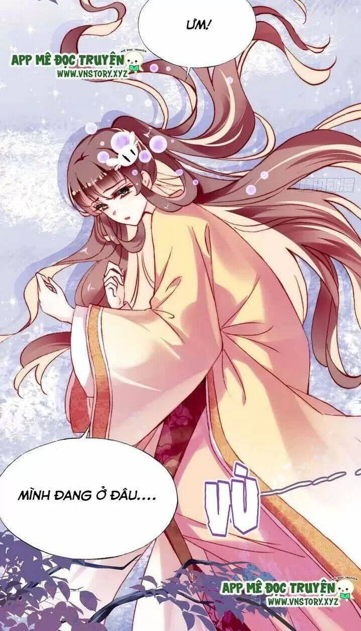 Lại Bị Bệnh Chiều Chuộng Quấn Lấy Chapter 11 - 19