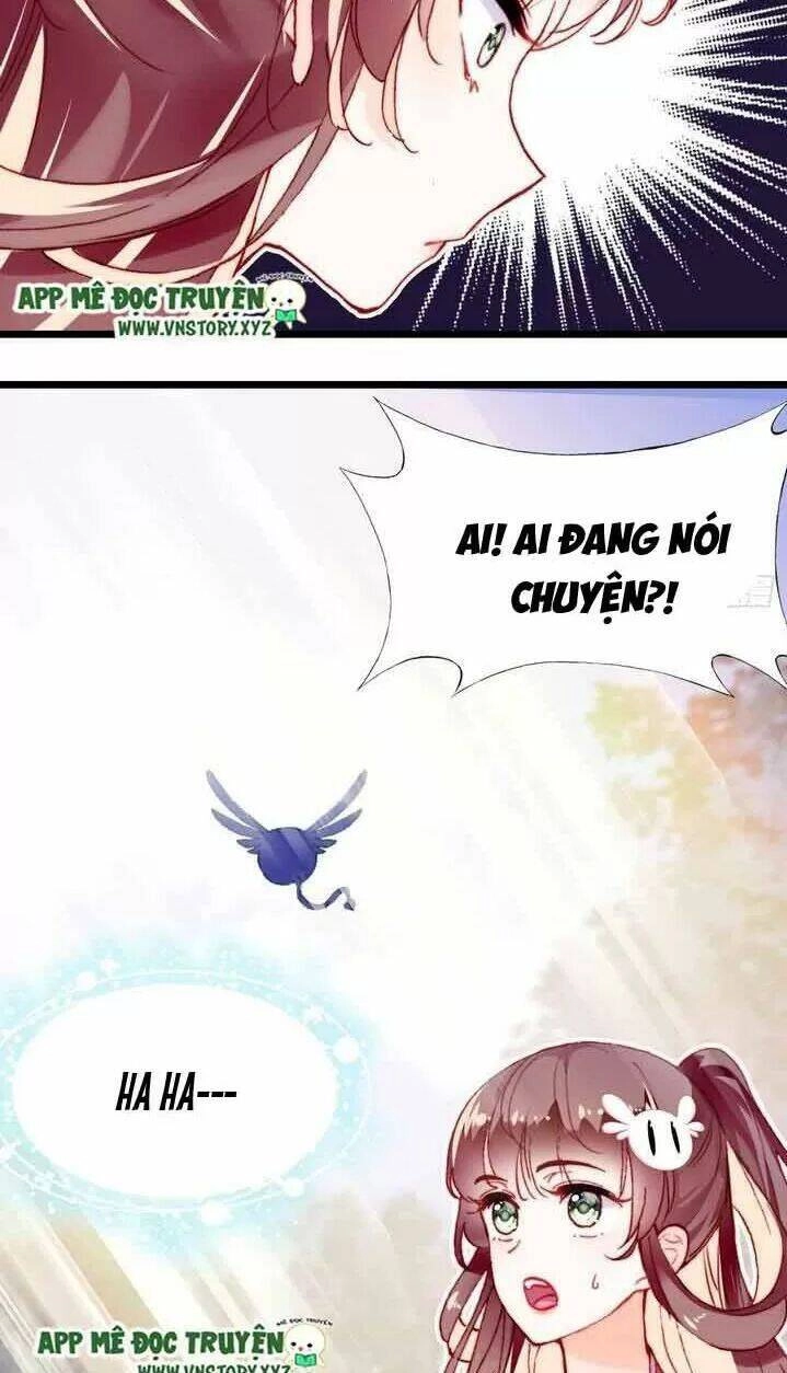 Lại Bị Bệnh Chiều Chuộng Quấn Lấy Chapter 11 - 23