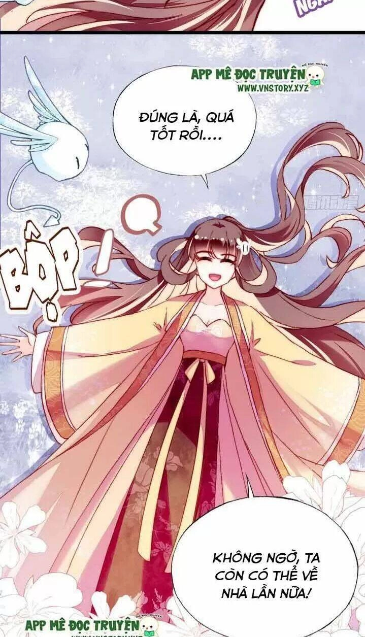 Lại Bị Bệnh Chiều Chuộng Quấn Lấy Chapter 11 - 36