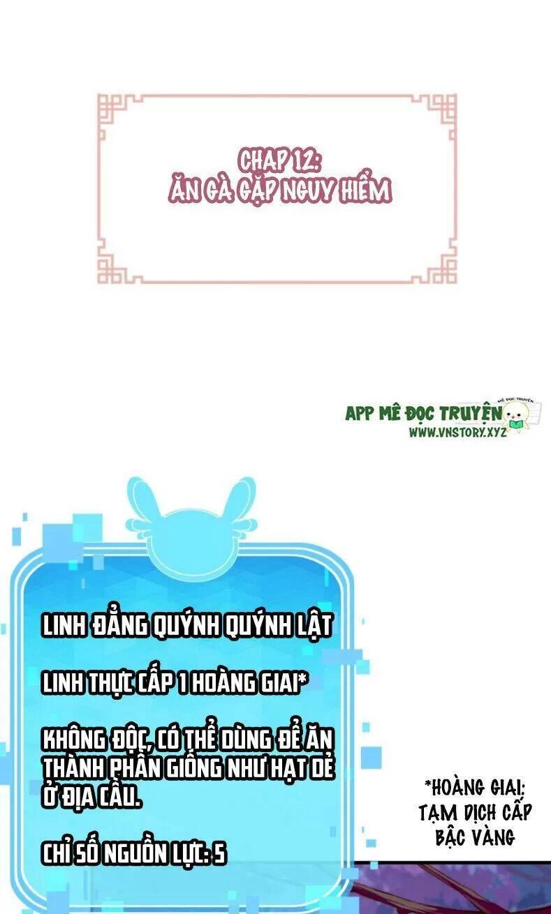 Lại Bị Bệnh Chiều Chuộng Quấn Lấy Chapter 12 - 2