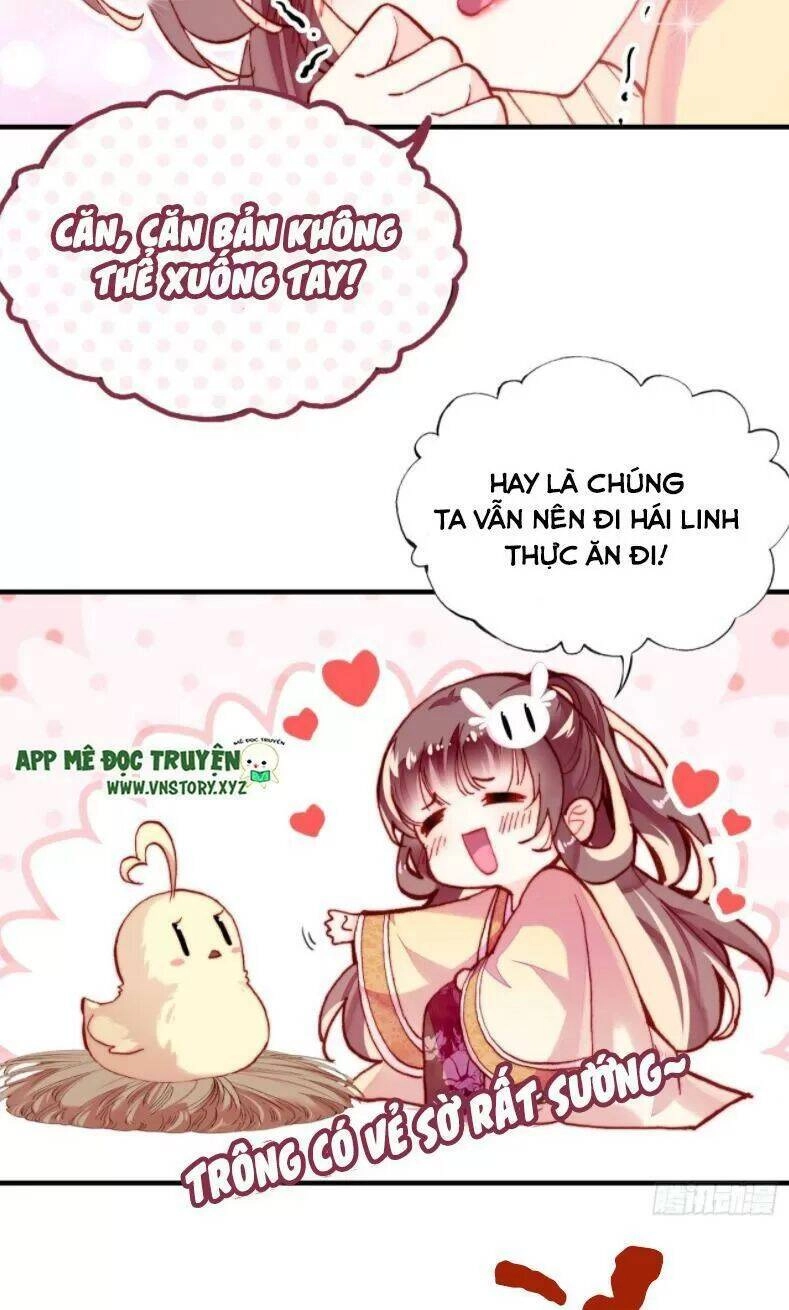 Lại Bị Bệnh Chiều Chuộng Quấn Lấy Chapter 12 - 11