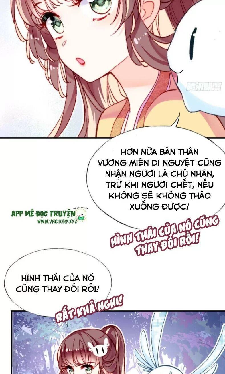 Lại Bị Bệnh Chiều Chuộng Quấn Lấy Chapter 12 - 29
