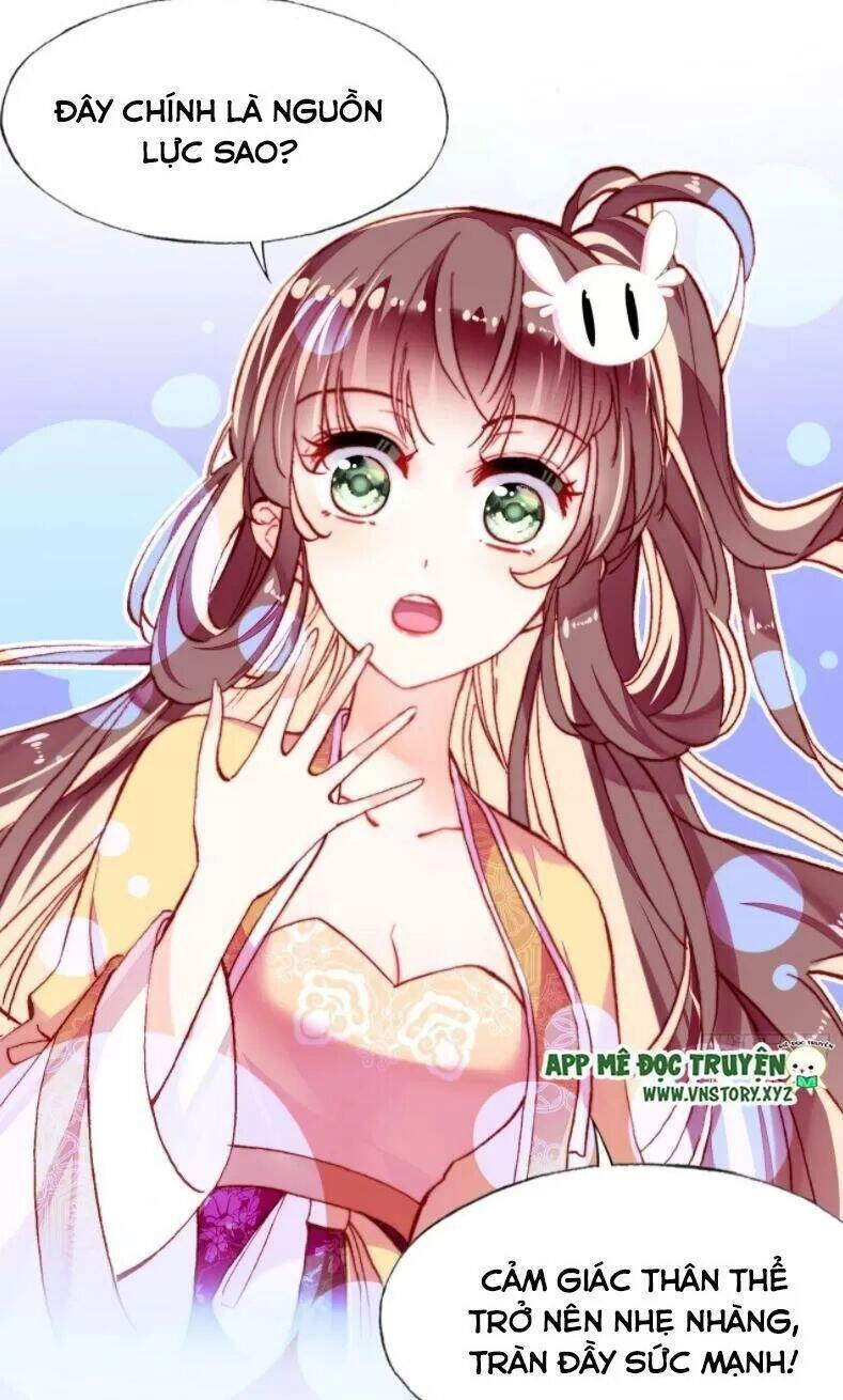 Lại Bị Bệnh Chiều Chuộng Quấn Lấy Chapter 12 - 41