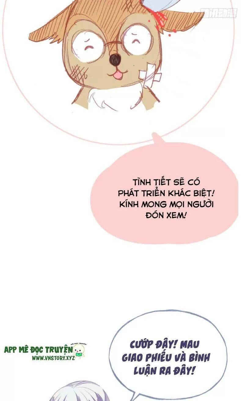 Lại Bị Bệnh Chiều Chuộng Quấn Lấy Chapter 12 - 62