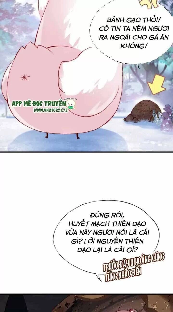 Lại Bị Bệnh Chiều Chuộng Quấn Lấy Chapter 13 - 22