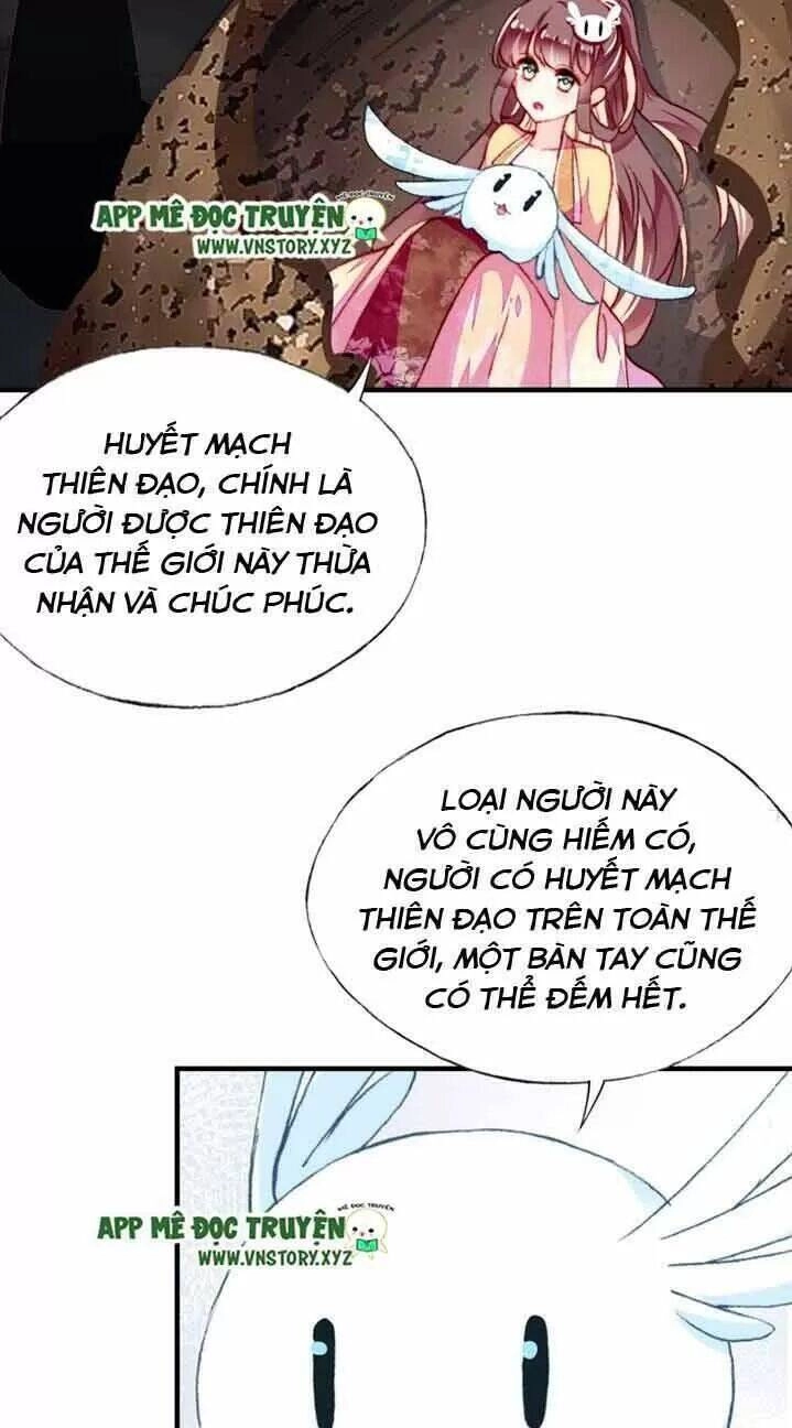 Lại Bị Bệnh Chiều Chuộng Quấn Lấy Chapter 13 - 23