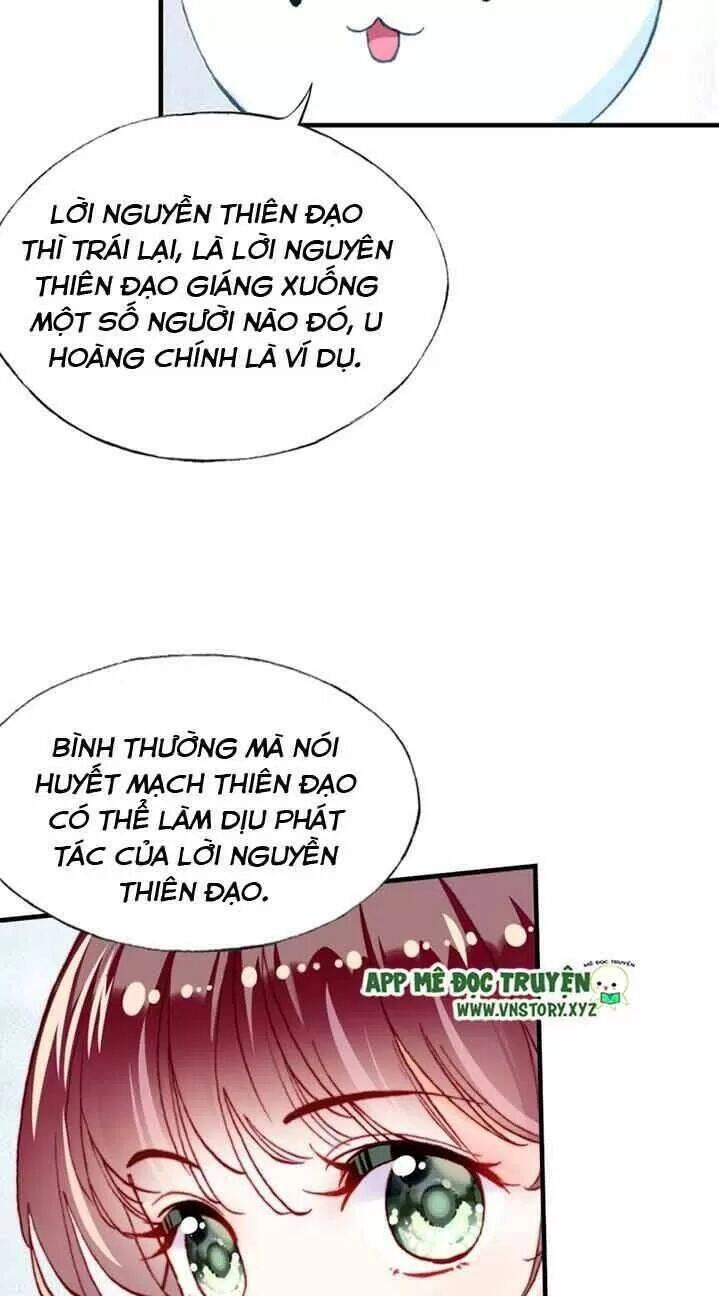 Lại Bị Bệnh Chiều Chuộng Quấn Lấy Chapter 13 - 24