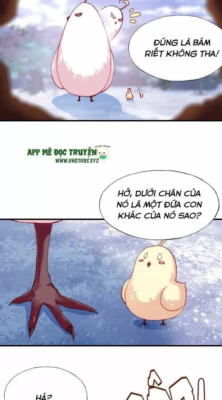 Lại Bị Bệnh Chiều Chuộng Quấn Lấy Chapter 13 - 28