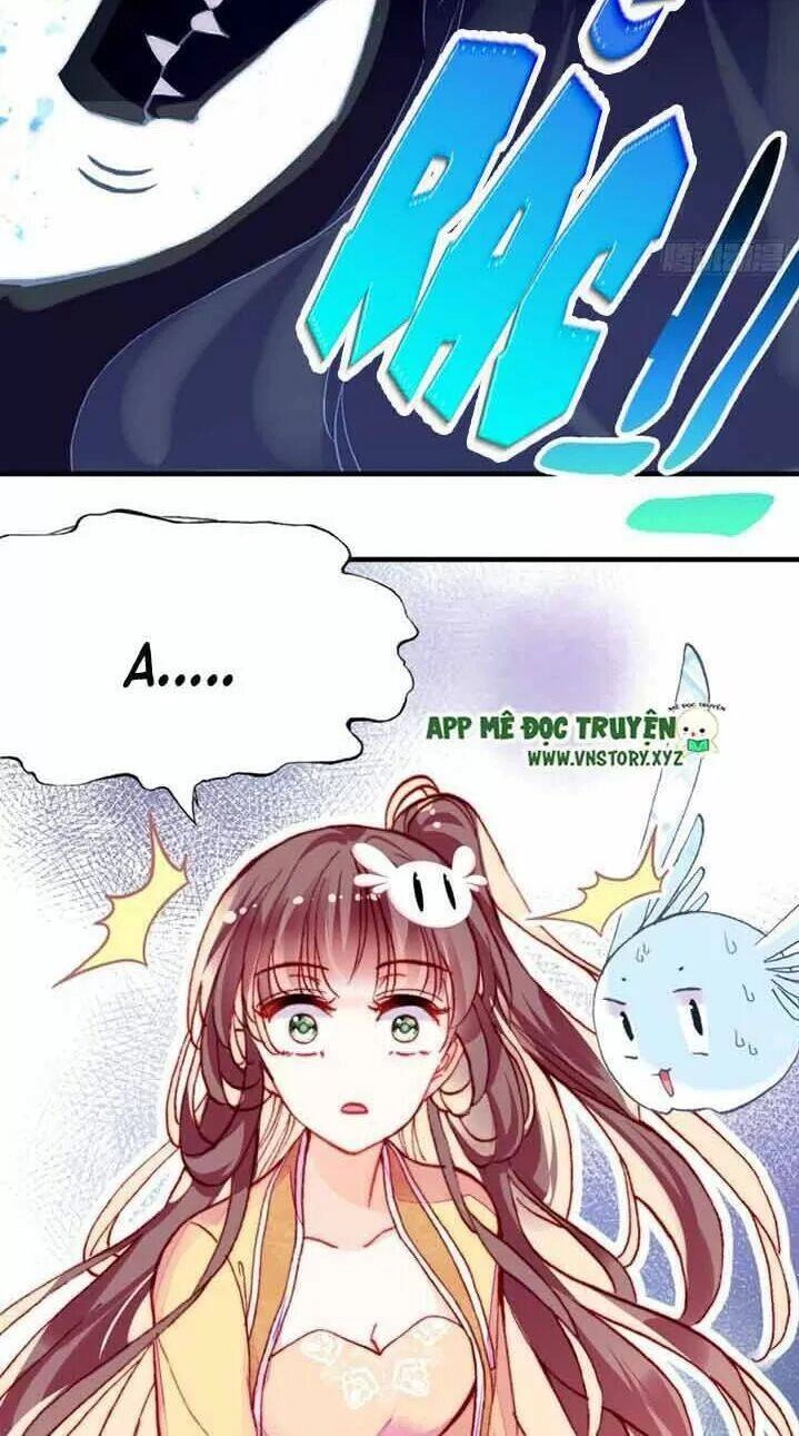 Lại Bị Bệnh Chiều Chuộng Quấn Lấy Chapter 13 - 51