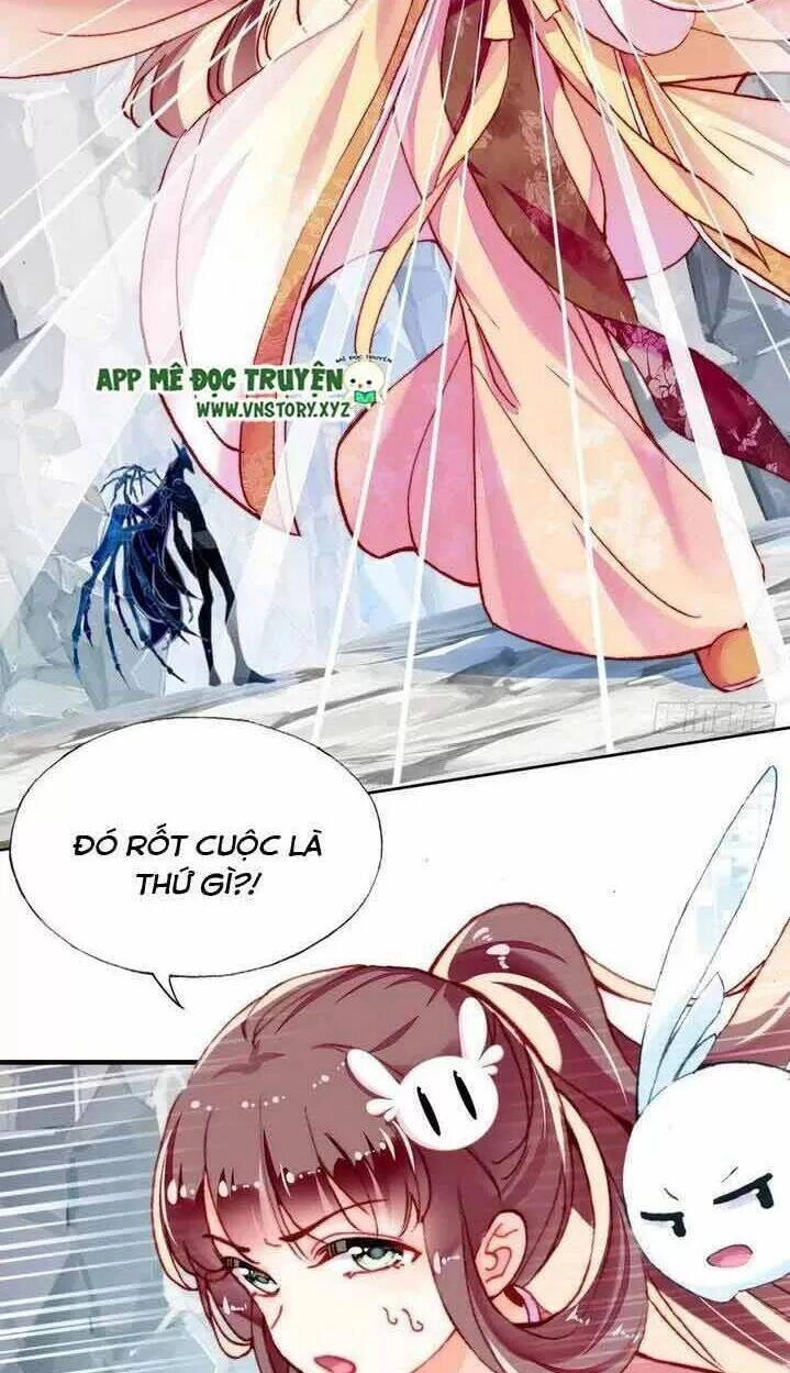 Lại Bị Bệnh Chiều Chuộng Quấn Lấy Chapter 14 - 10