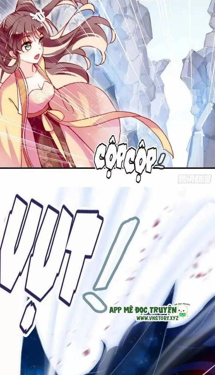 Lại Bị Bệnh Chiều Chuộng Quấn Lấy Chapter 14 - 12