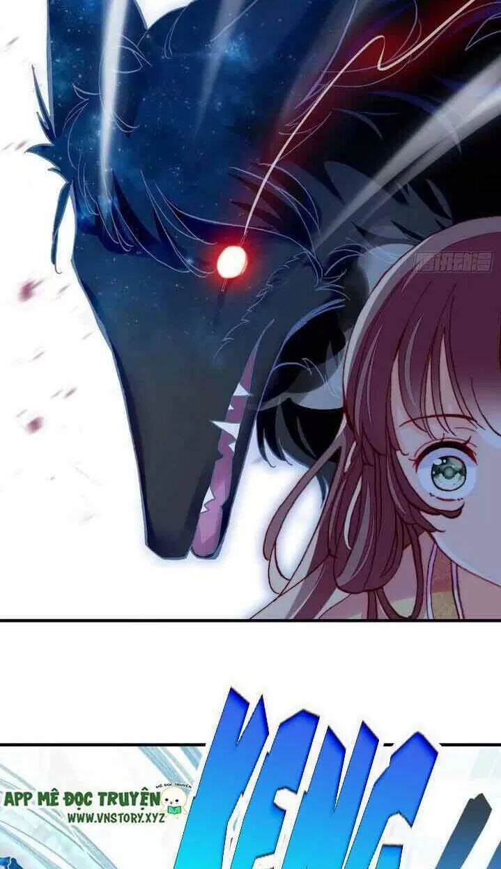 Lại Bị Bệnh Chiều Chuộng Quấn Lấy Chapter 14 - 13