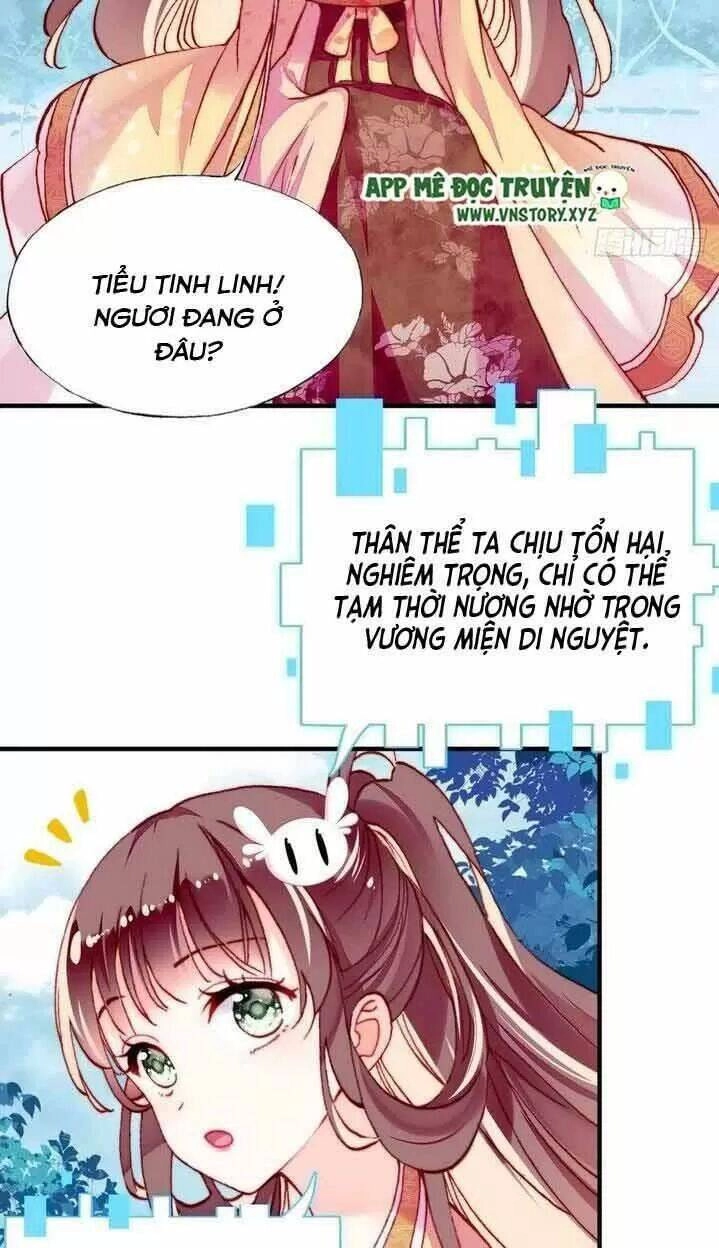 Lại Bị Bệnh Chiều Chuộng Quấn Lấy Chapter 14 - 34