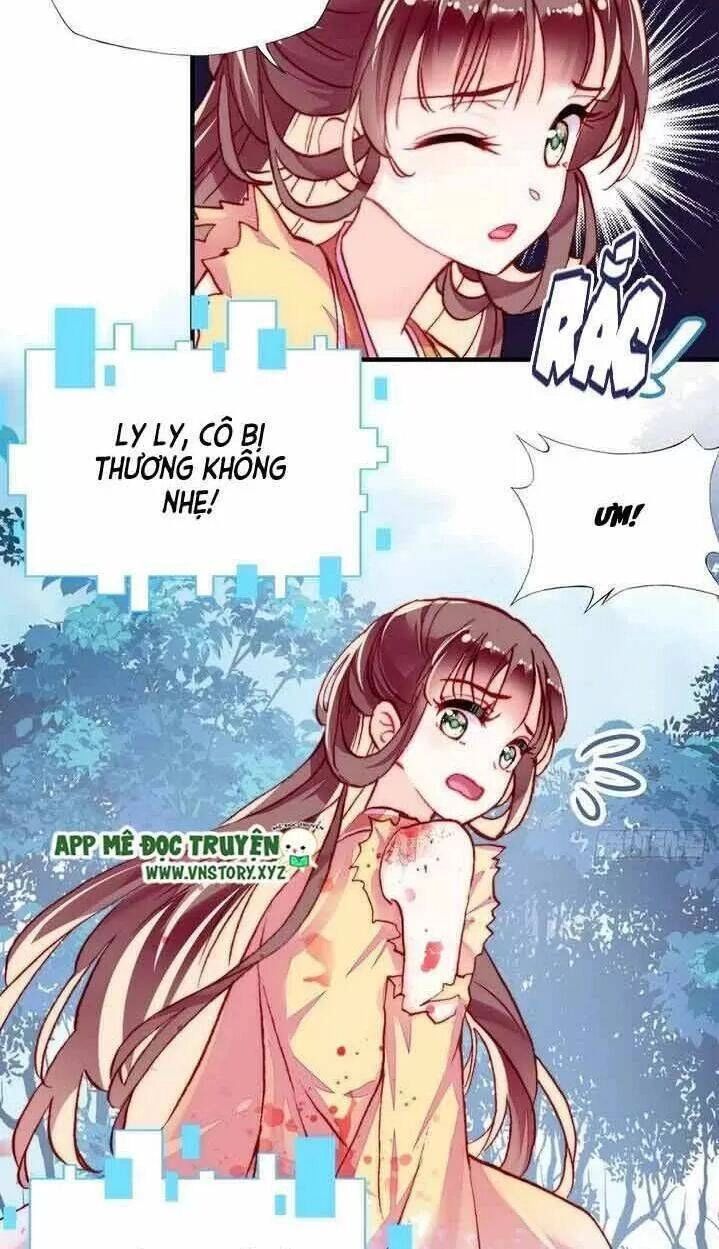 Lại Bị Bệnh Chiều Chuộng Quấn Lấy Chapter 14 - 37