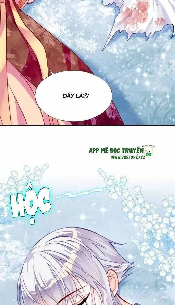 Lại Bị Bệnh Chiều Chuộng Quấn Lấy Chapter 14 - 40