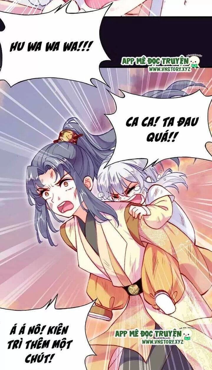 Lại Bị Bệnh Chiều Chuộng Quấn Lấy Chapter 15 - 14