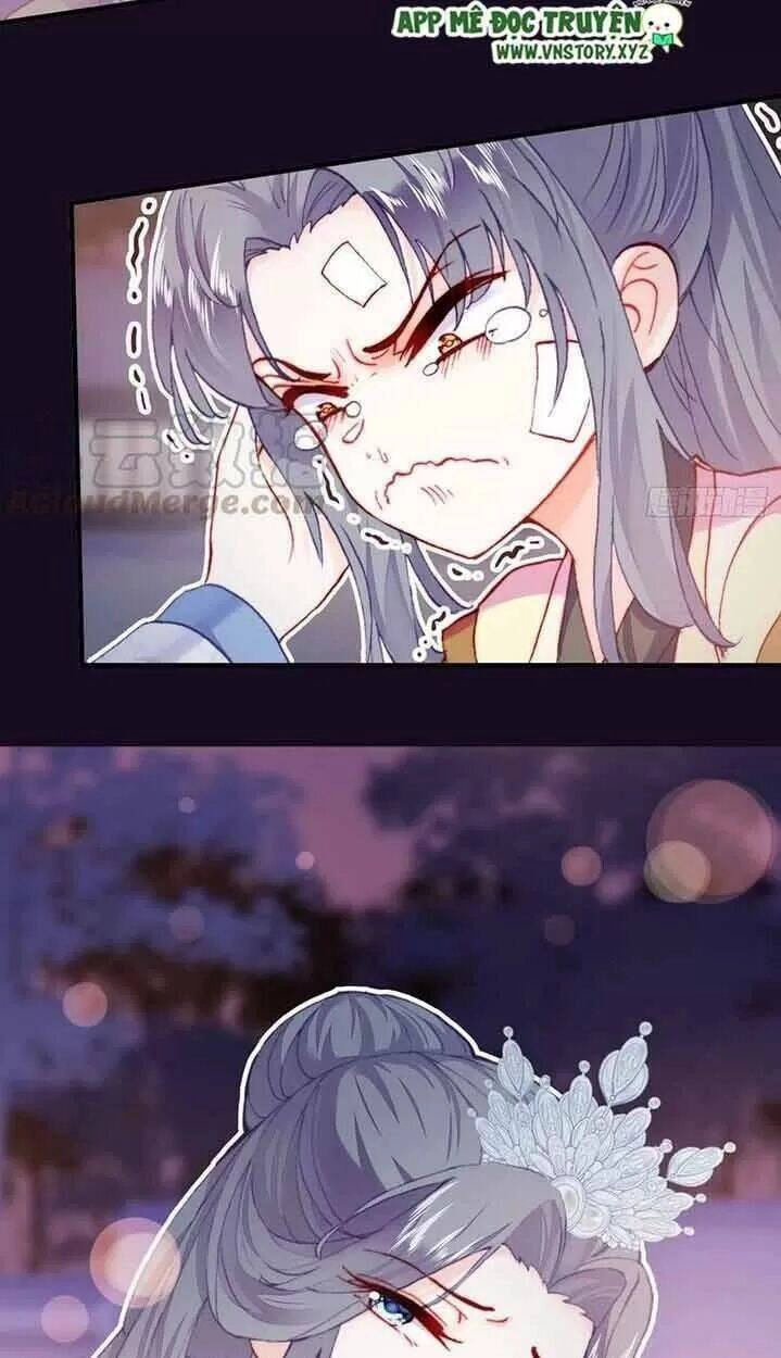 Lại Bị Bệnh Chiều Chuộng Quấn Lấy Chapter 15 - 19