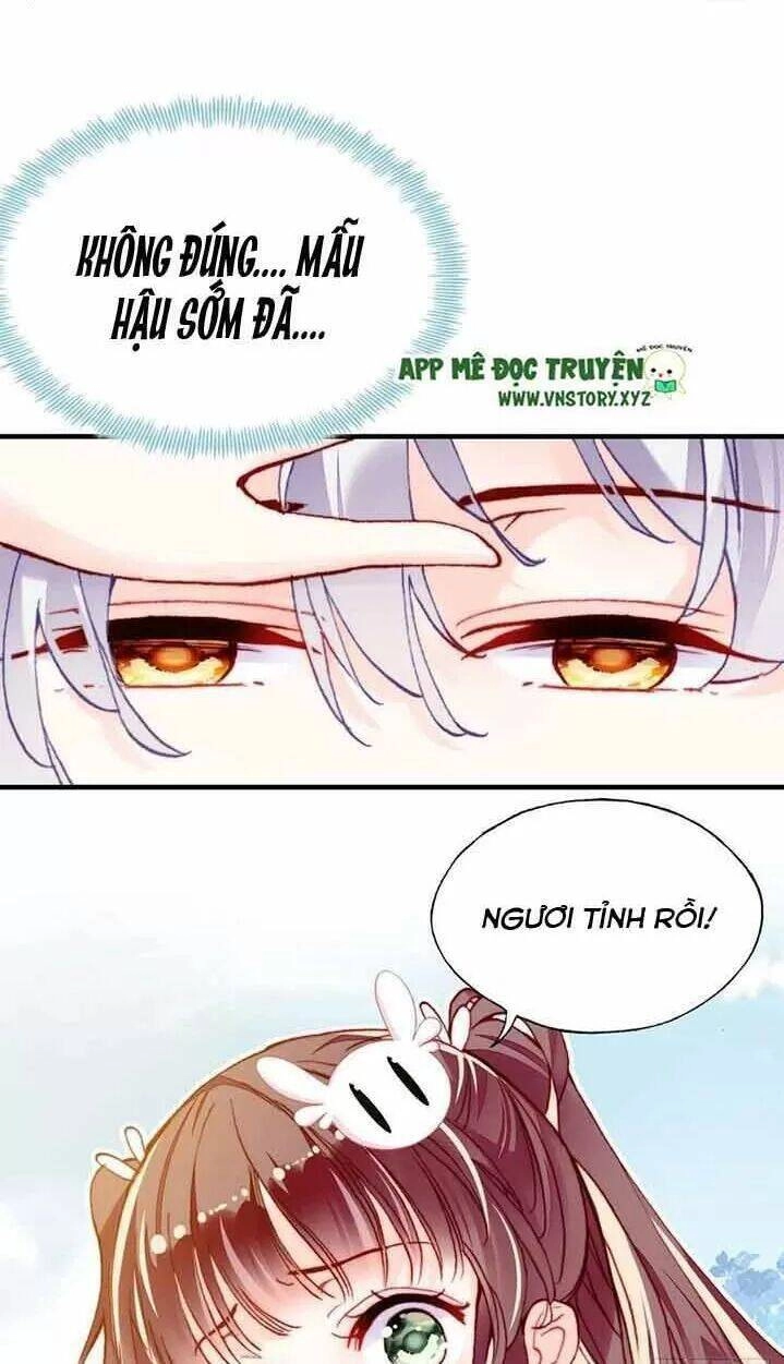 Lại Bị Bệnh Chiều Chuộng Quấn Lấy Chapter 15 - 29