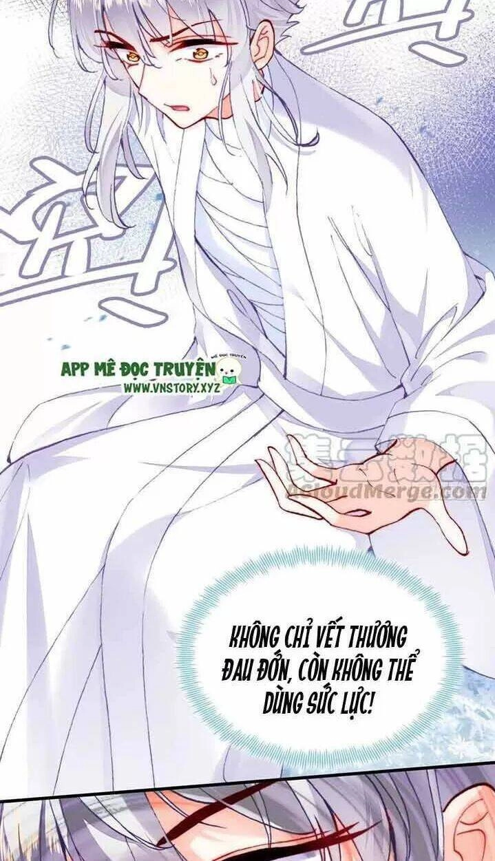 Lại Bị Bệnh Chiều Chuộng Quấn Lấy Chapter 15 - 36