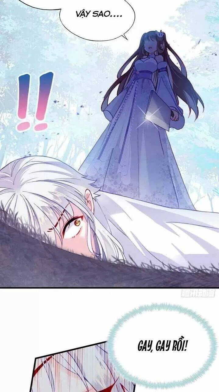 Lại Bị Bệnh Chiều Chuộng Quấn Lấy Chapter 16 - 34