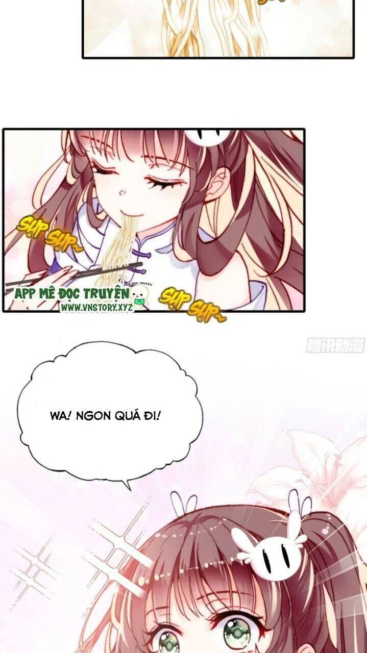 Lại Bị Bệnh Chiều Chuộng Quấn Lấy Chapter 17 - 6