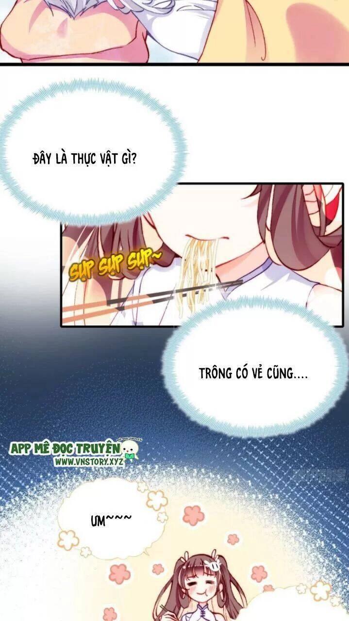 Lại Bị Bệnh Chiều Chuộng Quấn Lấy Chapter 17 - 11