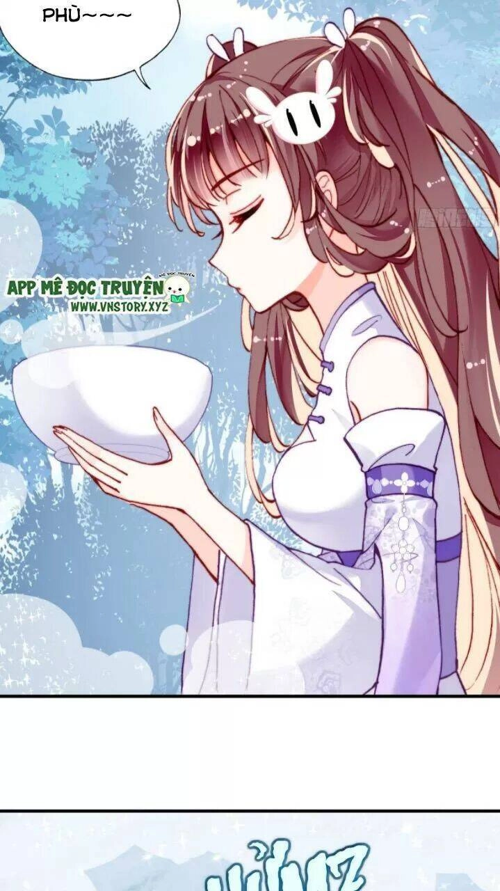 Lại Bị Bệnh Chiều Chuộng Quấn Lấy Chapter 17 - 14