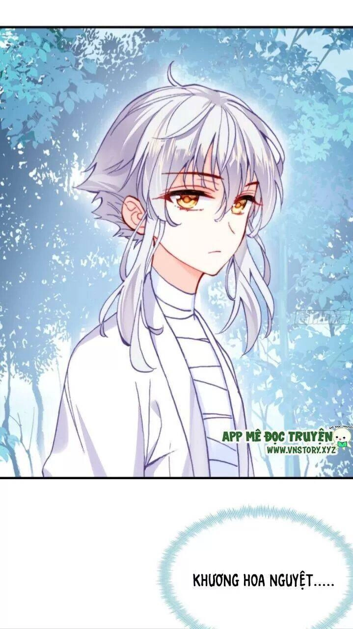 Lại Bị Bệnh Chiều Chuộng Quấn Lấy Chapter 17 - 48