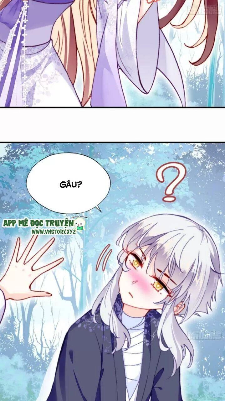 Lại Bị Bệnh Chiều Chuộng Quấn Lấy Chapter 19 - 4