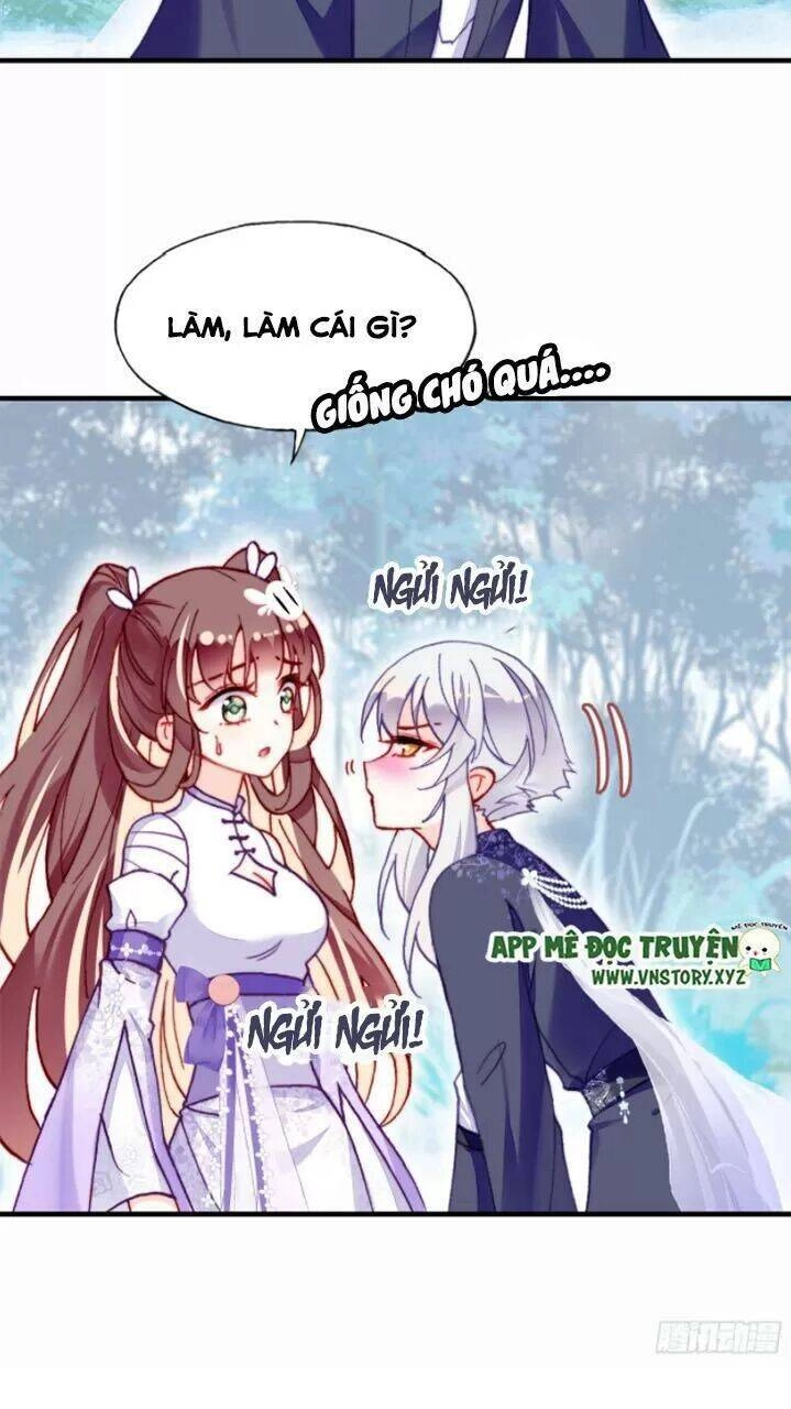 Lại Bị Bệnh Chiều Chuộng Quấn Lấy Chapter 19 - 5