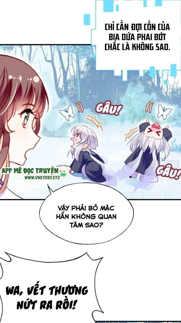 Lại Bị Bệnh Chiều Chuộng Quấn Lấy Chapter 19 - 11