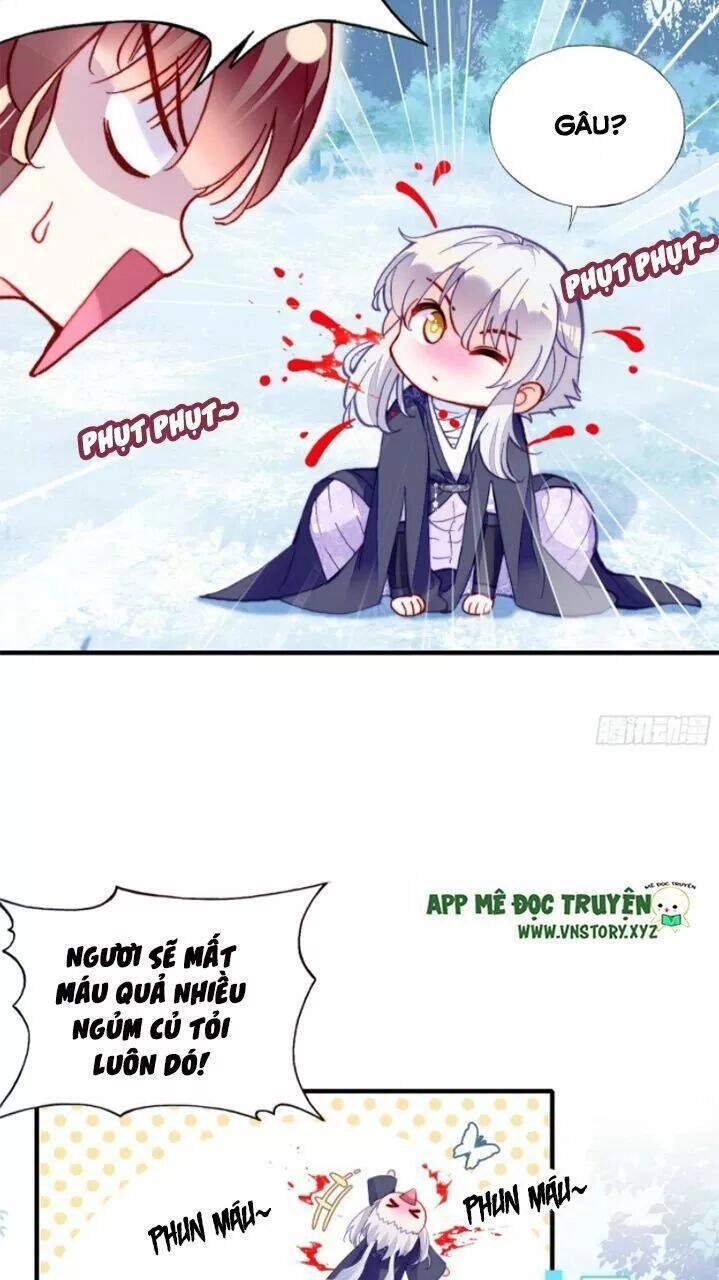 Lại Bị Bệnh Chiều Chuộng Quấn Lấy Chapter 19 - 12