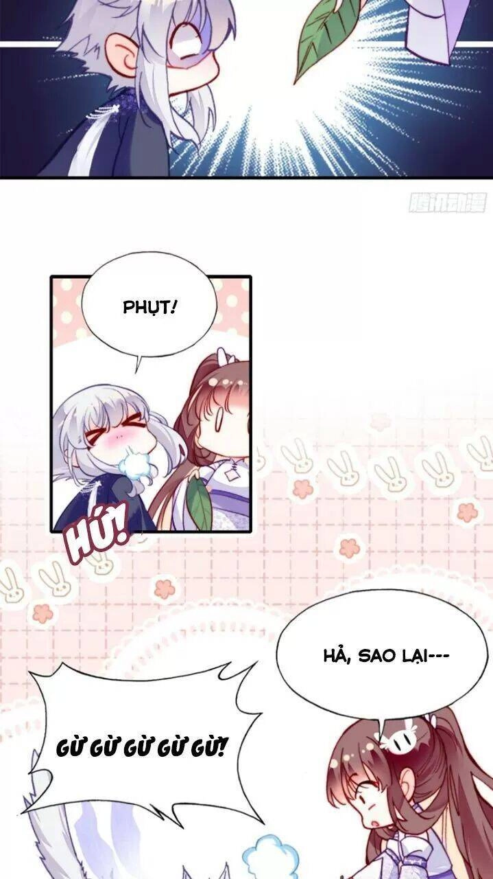 Lại Bị Bệnh Chiều Chuộng Quấn Lấy Chapter 19 - 15