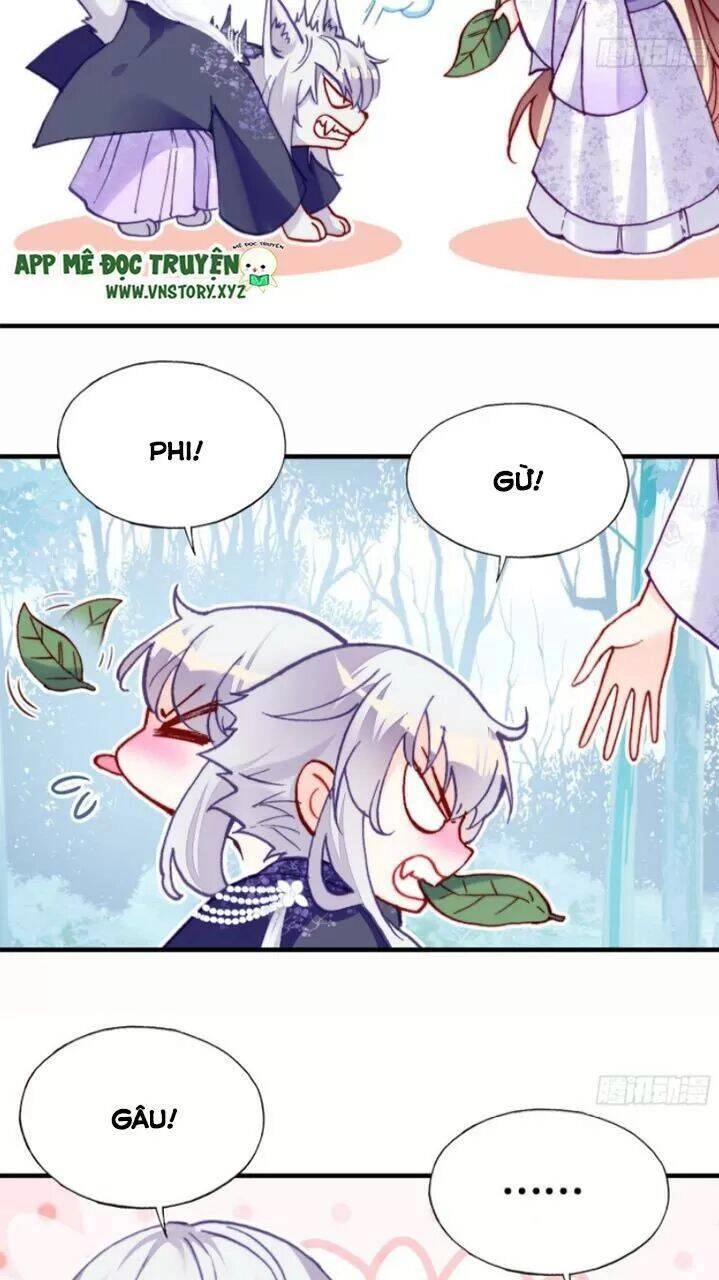 Lại Bị Bệnh Chiều Chuộng Quấn Lấy Chapter 19 - 16