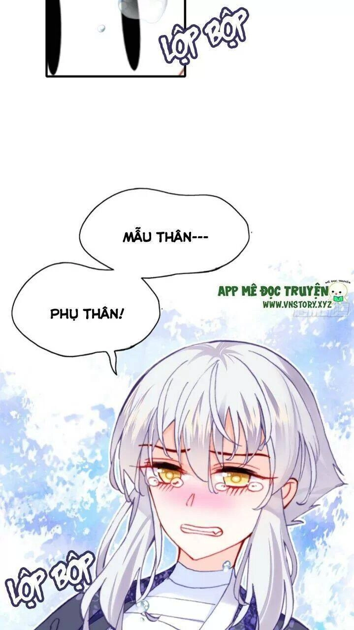 Lại Bị Bệnh Chiều Chuộng Quấn Lấy Chapter 19 - 24