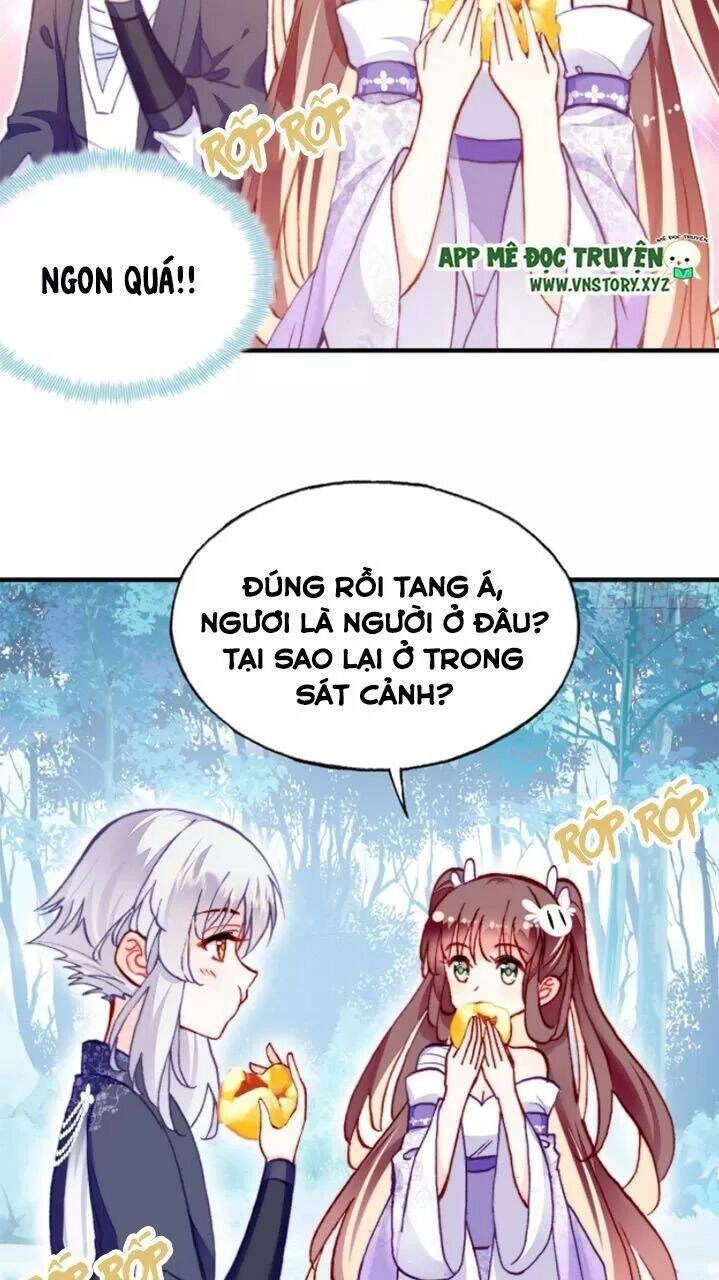 Lại Bị Bệnh Chiều Chuộng Quấn Lấy Chapter 19 - 43