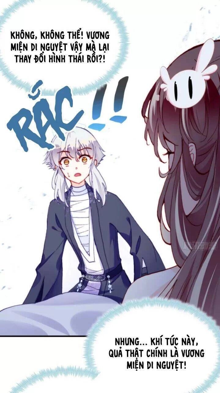 Lại Bị Bệnh Chiều Chuộng Quấn Lấy Chapter 20 - 20