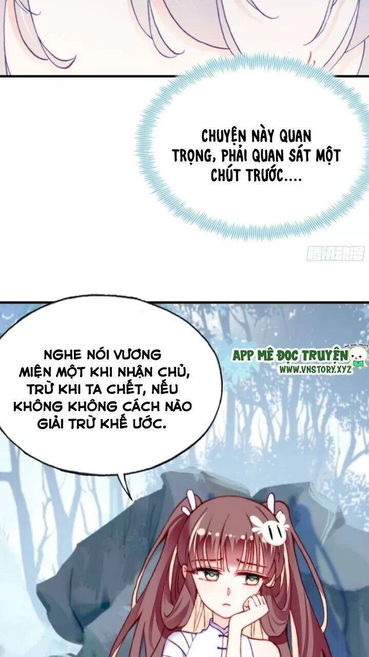 Lại Bị Bệnh Chiều Chuộng Quấn Lấy Chapter 20 - 24