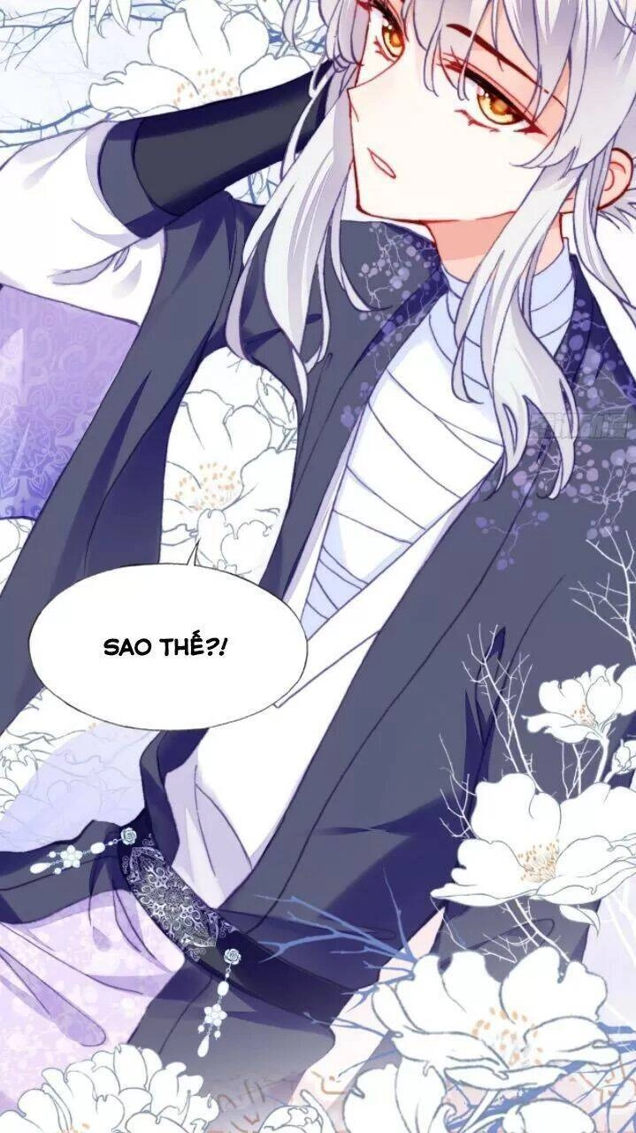 Lại Bị Bệnh Chiều Chuộng Quấn Lấy Chapter 20 - 62