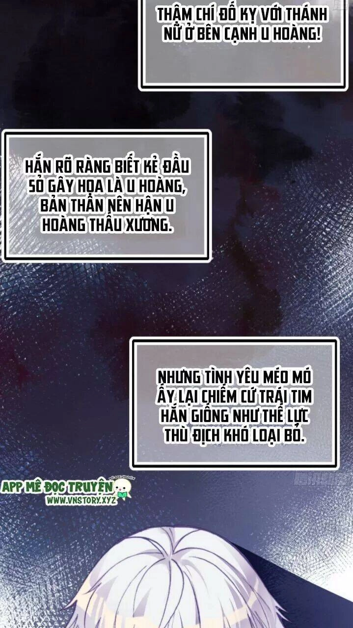 Lại Bị Bệnh Chiều Chuộng Quấn Lấy Chapter 21 - 11