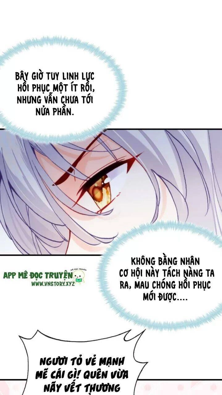 Lại Bị Bệnh Chiều Chuộng Quấn Lấy Chapter 21 - 25