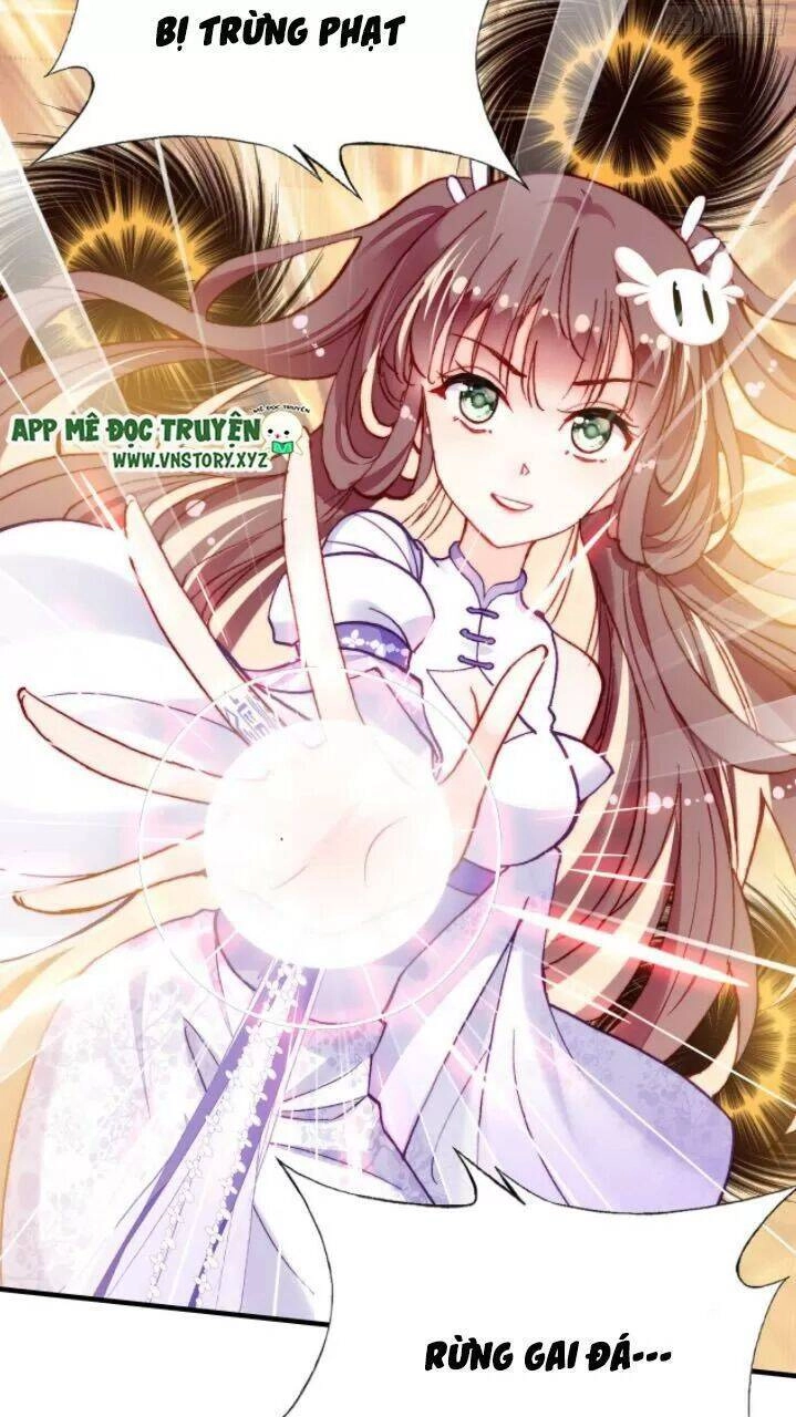 Lại Bị Bệnh Chiều Chuộng Quấn Lấy Chapter 21 - 36