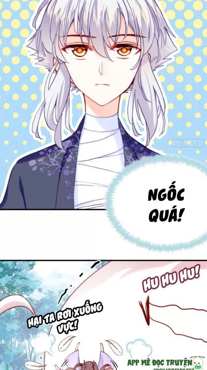 Lại Bị Bệnh Chiều Chuộng Quấn Lấy Chapter 21 - 41