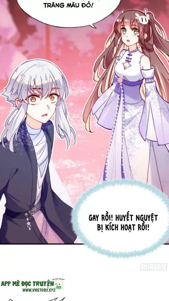 Lại Bị Bệnh Chiều Chuộng Quấn Lấy Chapter 21 - 49