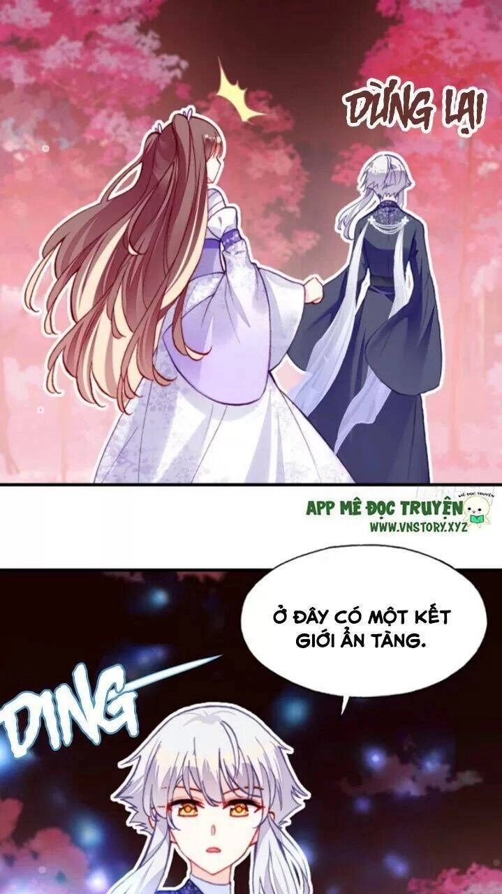 Lại Bị Bệnh Chiều Chuộng Quấn Lấy Chapter 22 - 5